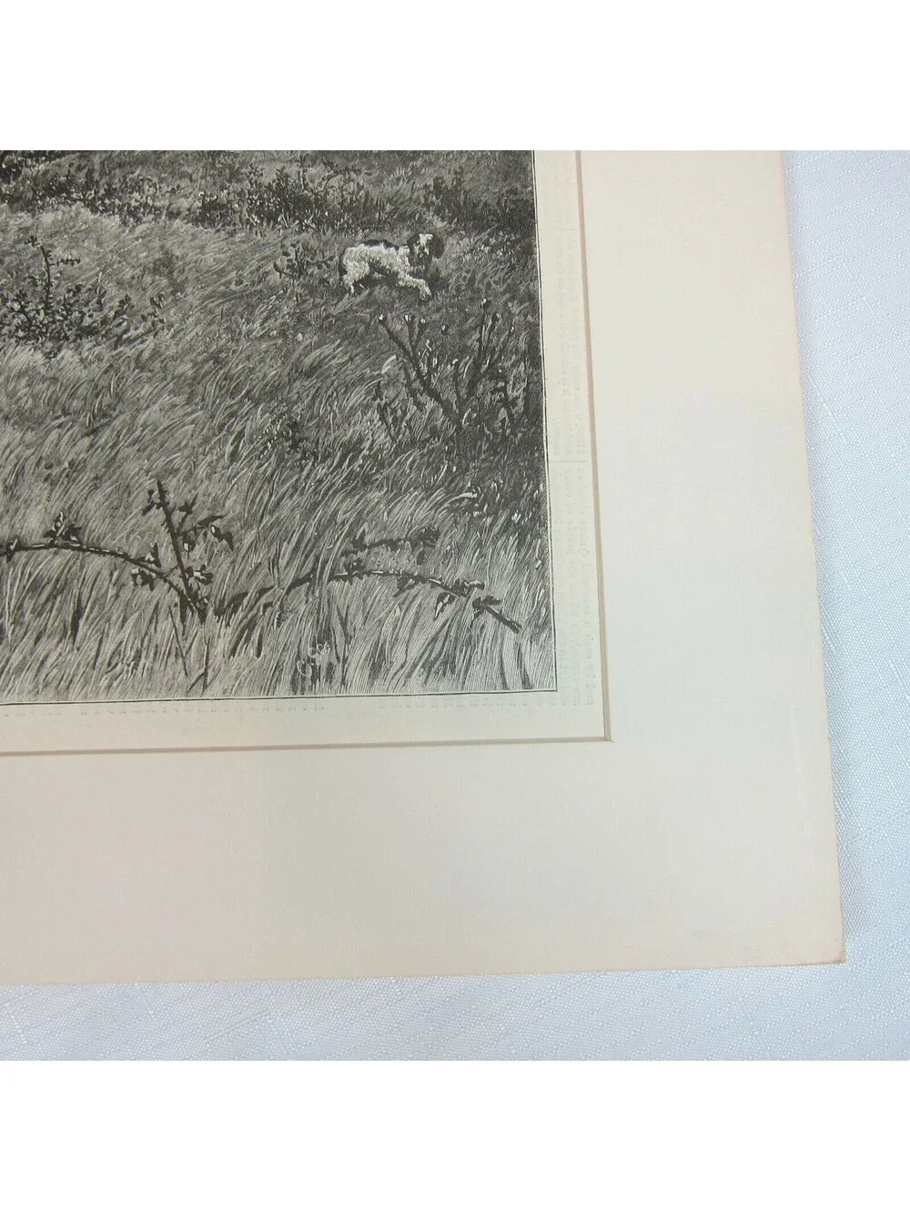 Antique 1880 Wood Engraving Print Gun-Shy Black Hunter Scared Dog Harpers Weekly